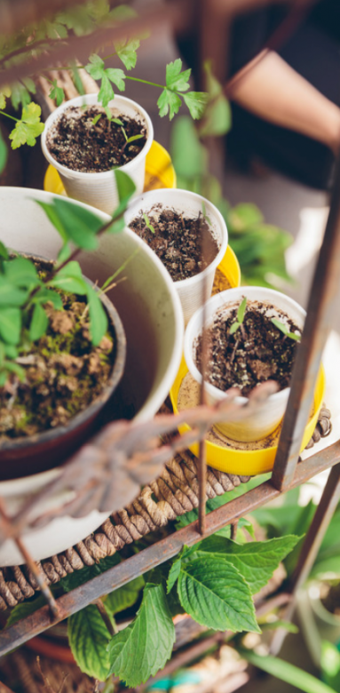 Comment aménager un balcon à Poissy ?