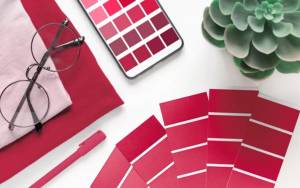 Palette Viva Magenta