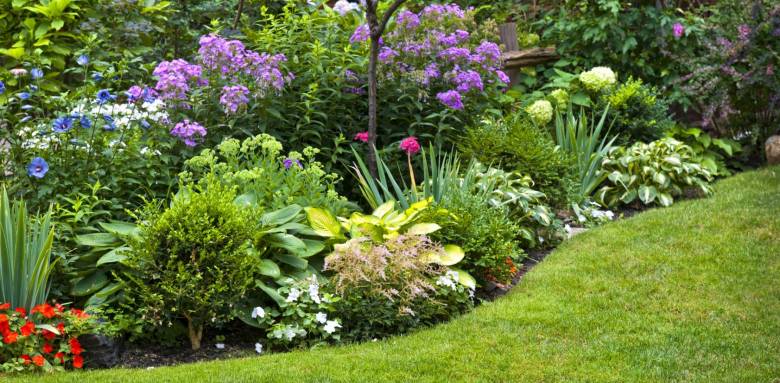 massifs fleurs jardin