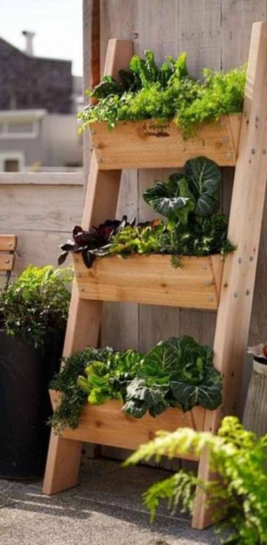 Aménagement d'un potager sur sa terrasse ou son balcon