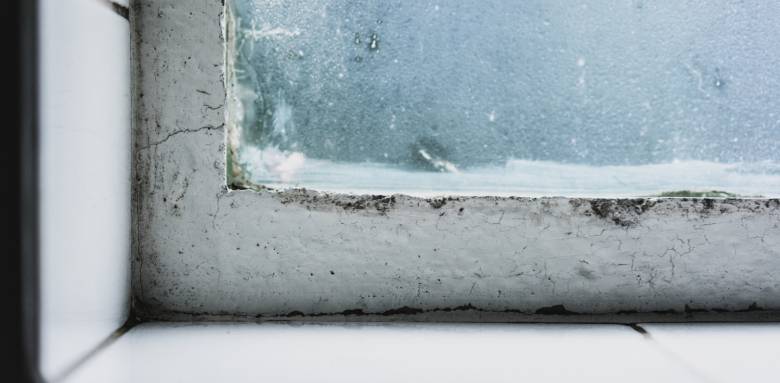 Traiter les murs humides 