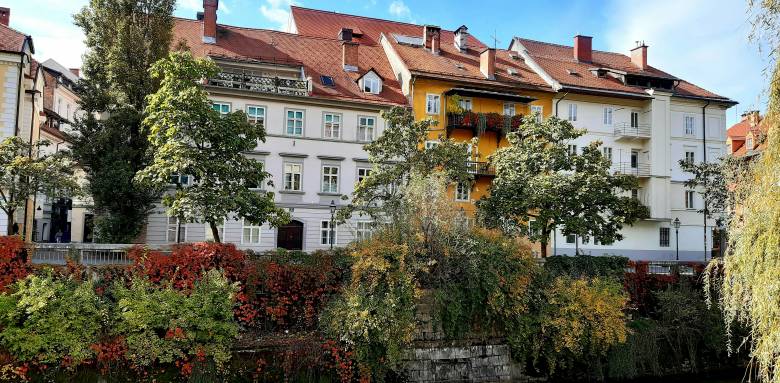 Rénovation maison ancienne paris.