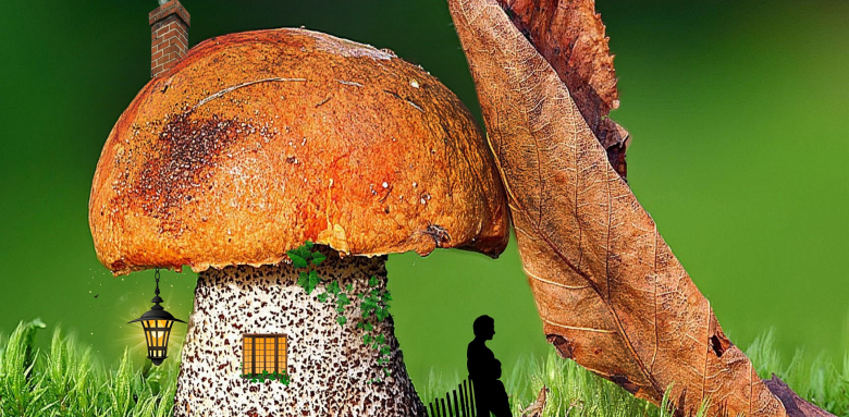 Automne