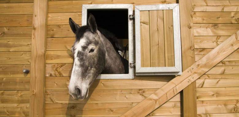 création de box à chevaux à URZY-GUERIGNY