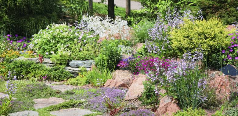 Jardin minéral avec massifs et arbustes