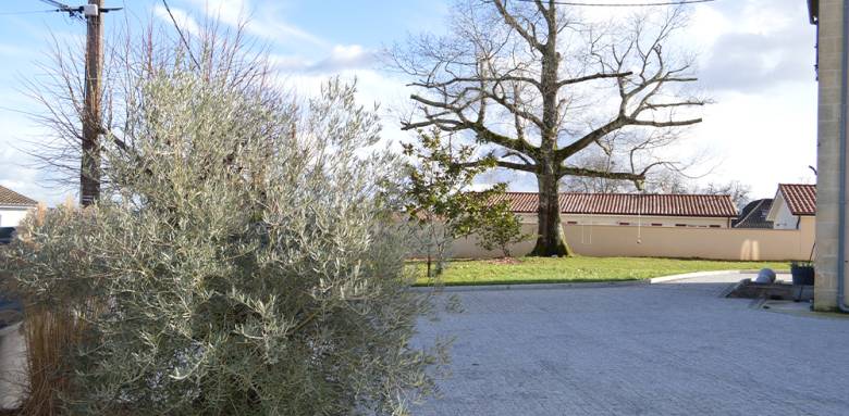Aménagement de jardin à Poitiers