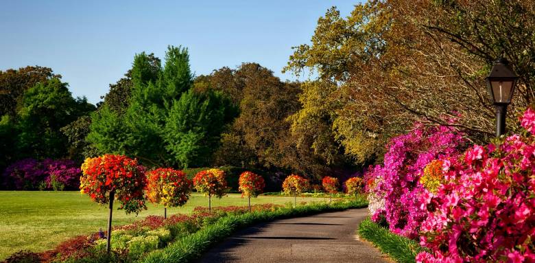 Aménagement jardin Chantilly