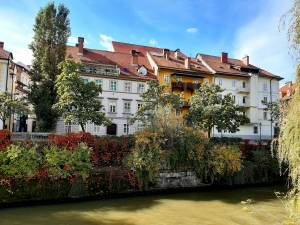 Rénovation maison ancienne paris.
