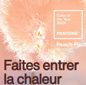 pantone