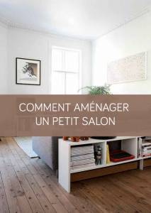 Astuces pour aménager un petit salon