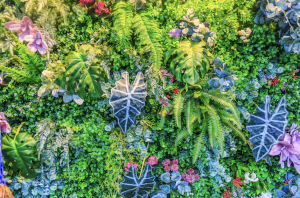 creer-mur-vegetal-exterieur-albi