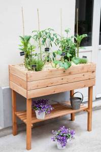 Aménagement d'un potager sur sa terrasse ou son balcon