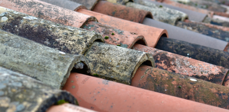 Tuiles avant entretien - couvreur 77, maçon 77, charpentier 77, auditeur énergétique 77, étanchéiste 77, architecte 77, bureau d'étude 77