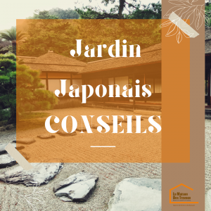 Jardin Japonais 