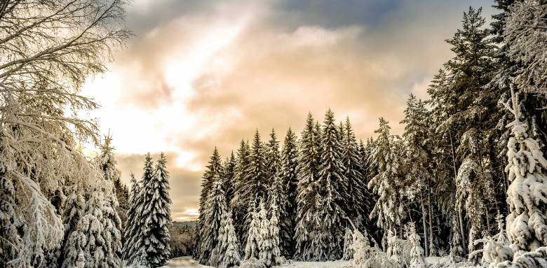 5 travaux à faire avant l’hiver pour éviter les mauvaises surprises dans sa maison individuelle à Muret