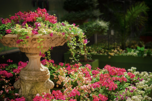 tendances-jardin-albi