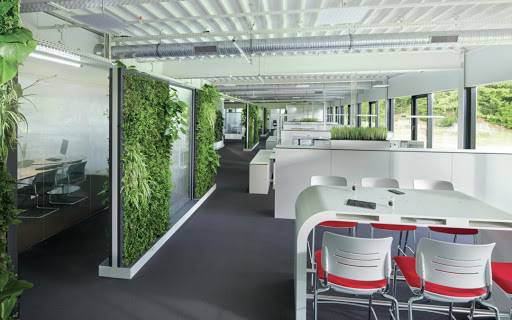 Végétalisation d'un open-space
