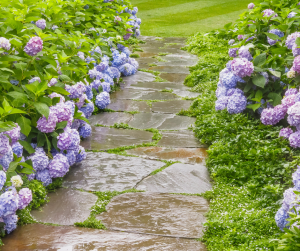 Aménager une allée de jardin Etampes