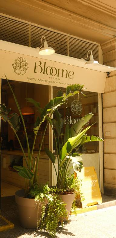 Revêtement et habillage vitrine extérieure