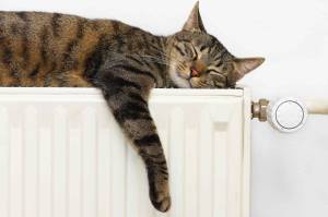 choisir son radiateur