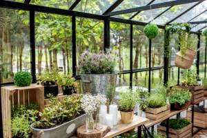 inspiration jardin d'hiver - M6 Déco