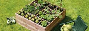 Création d'un potager à Honfleur