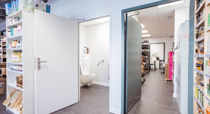 WC normes handicapé