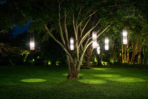 Eclairage extérieur de jardin avec suspension lumineuse - Cholet 49