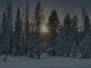 Rénovation énergétique