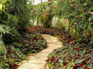 Un allée de jardin