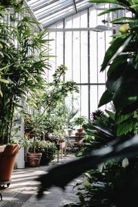 Serre de jardin
