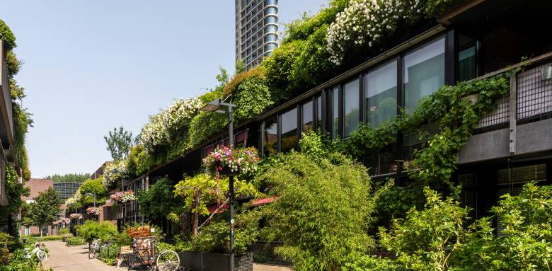 Mur végétal à fontainebleau
