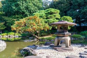 Jardin japonais à Fontainebleau