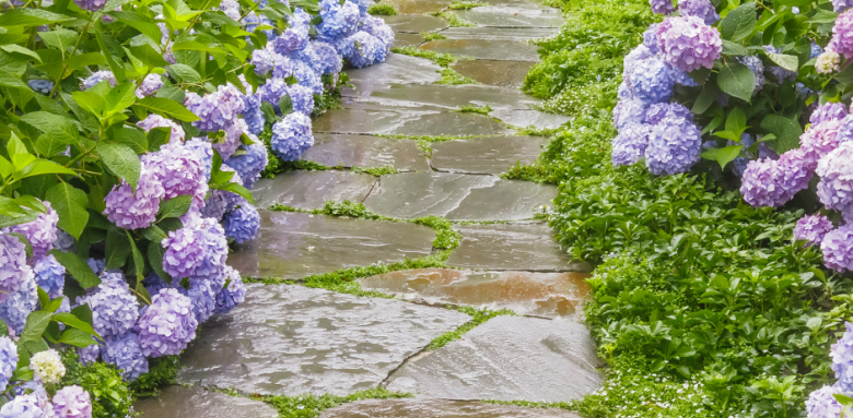Aménager une allée de jardin Etampes