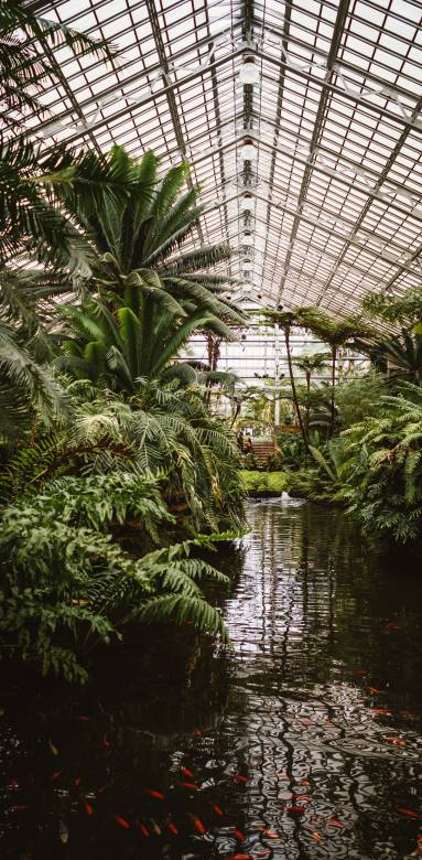 Serre de jardin