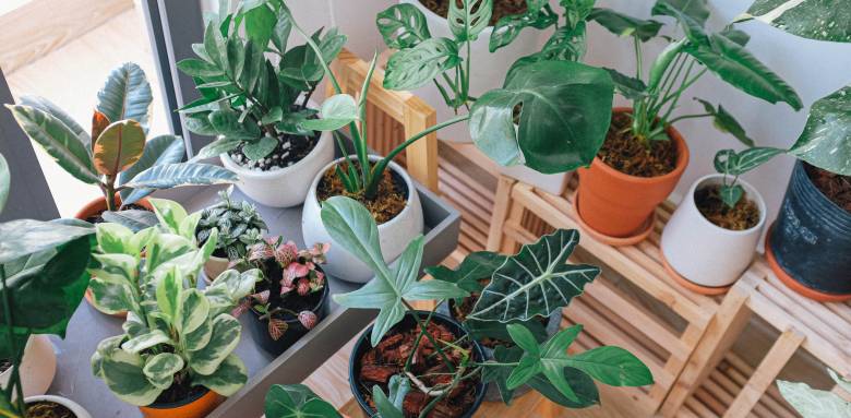 Comment installer une serre de jardin ?