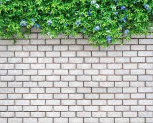 cloture de jardin