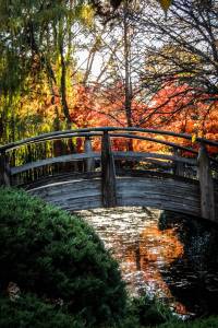jardin japonais