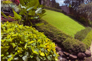 Aménager jardin en pente Haguenau