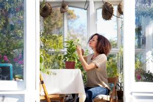 Serre de jardin