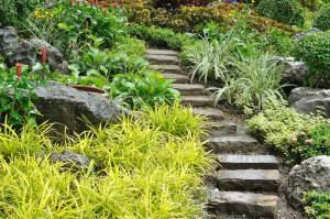 jardin