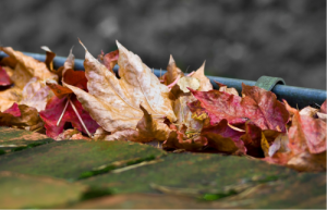 travaux maison automne toulouse