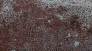 Le retour des sols rétro ! Sully 14400