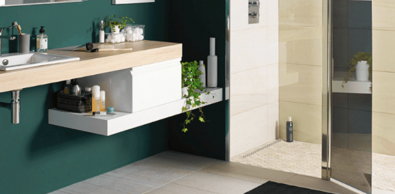 douche et lavabo adaptés ( CEDEO)