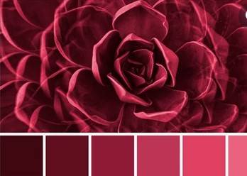 Magenta...probablement La couleur 2023 !!