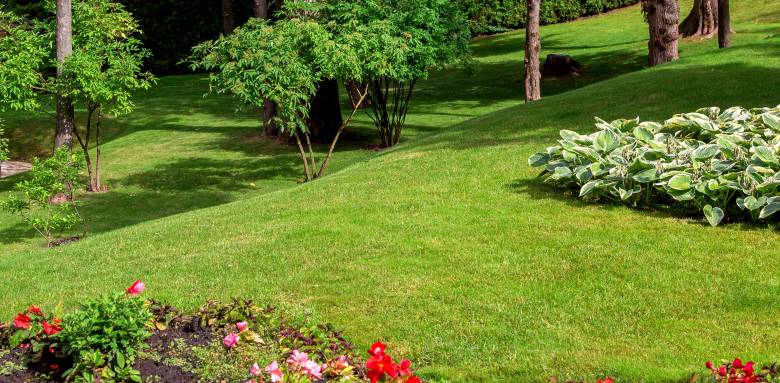 Aménager un jardin en pente à Tours.