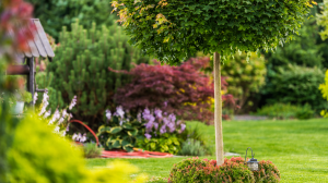 aménagement de jardin antibes