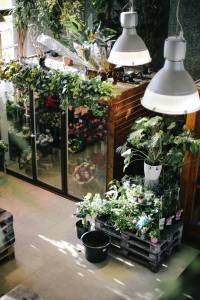 Intérieur de serre de jardin 