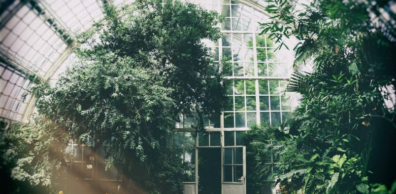 Serre de jardin