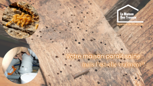 Votre maison parait saine, mais l'est-elle vraiment? lmdt chartres